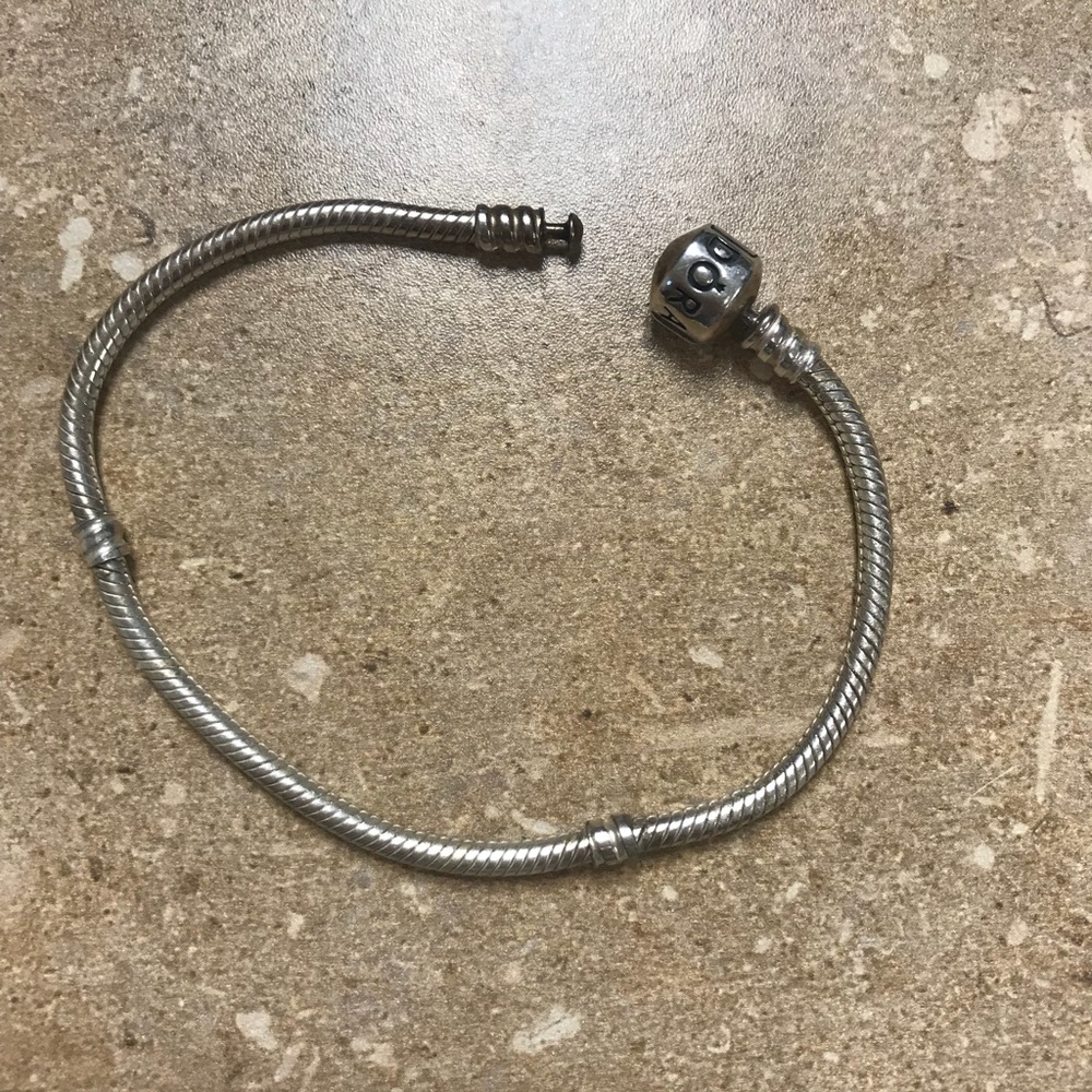 Pandora Bracelet